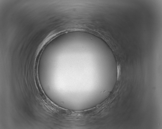 X0000078280195200611031025