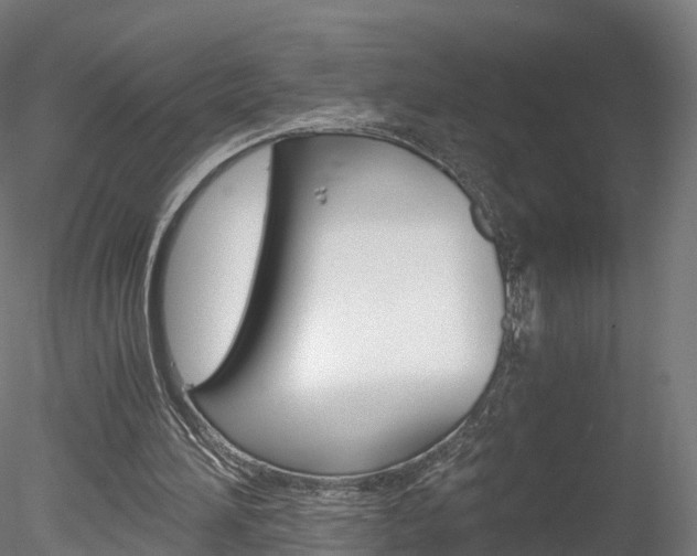 X0000078280196200611031025