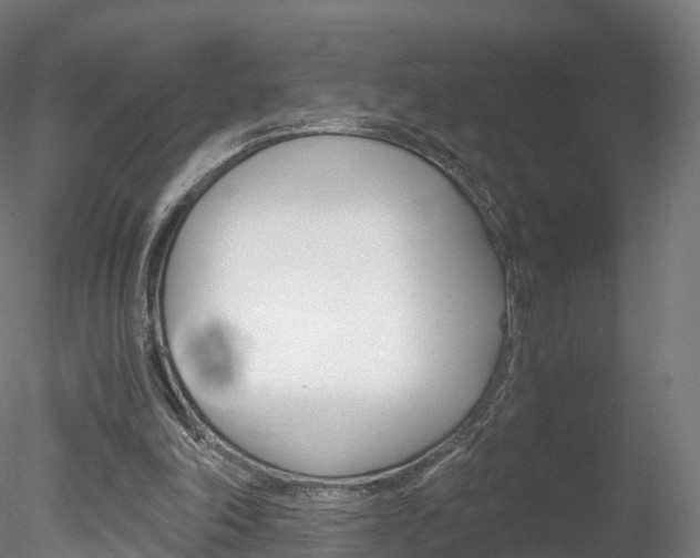 X0000078280198200611031025