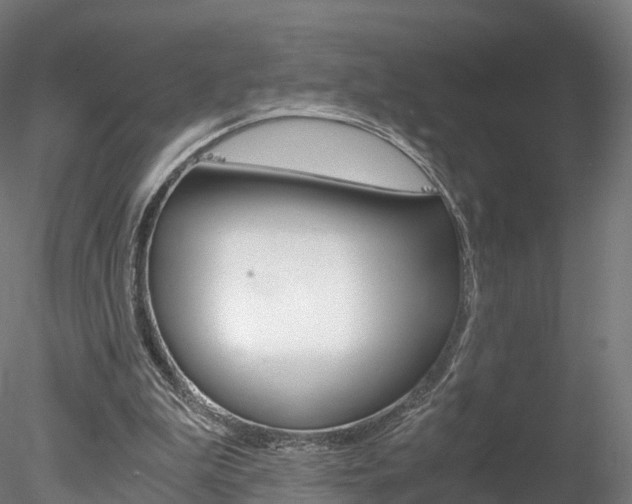 X0000078280199200611031025