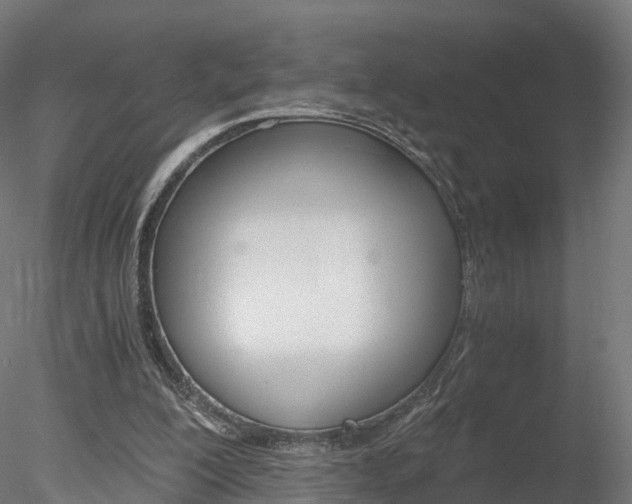 X0000078280200200611031025