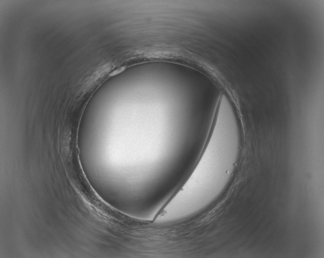 X0000078280201200611031025