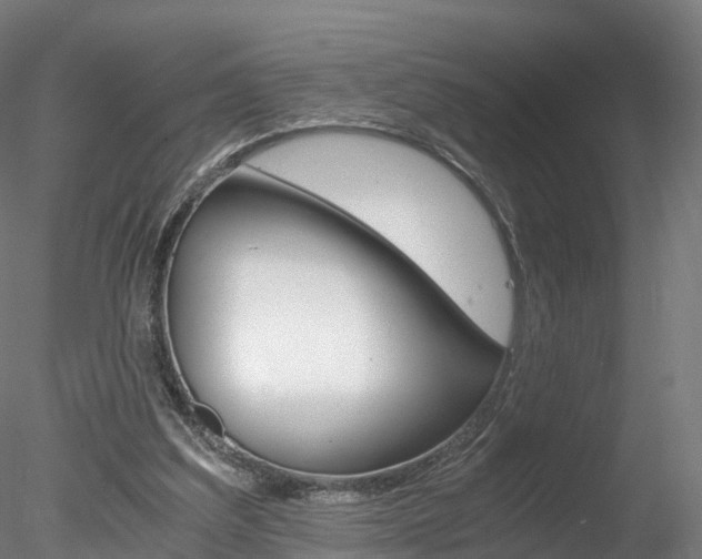 X0000078280203200611031025