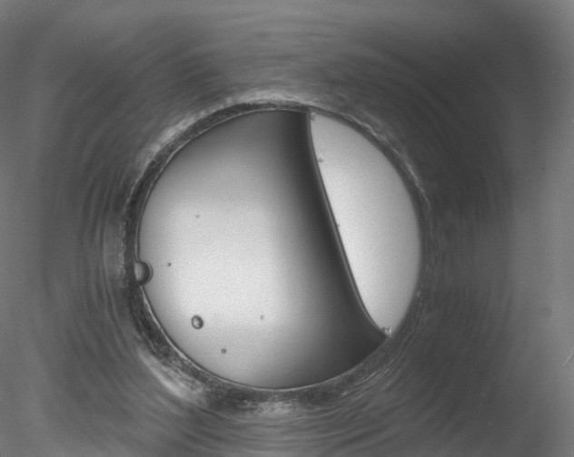 X0000078280204200611031025