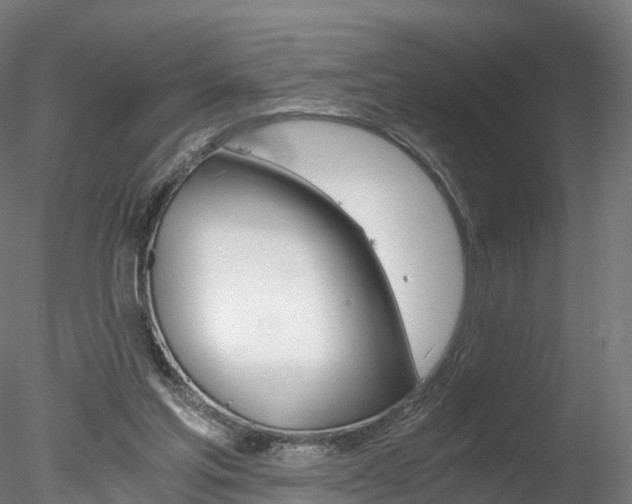 X0000078280205200611031025