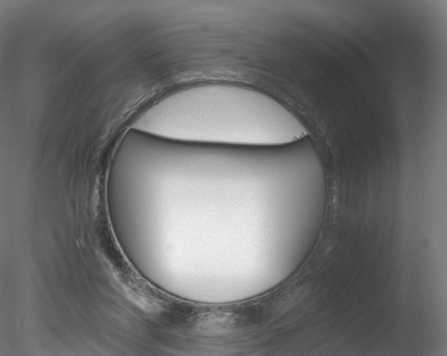 X0000078280206200611031025