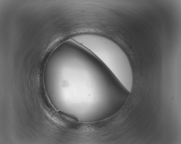 X0000078280207200611031025