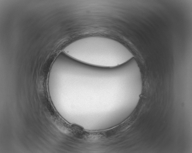 X0000078280209200611031025