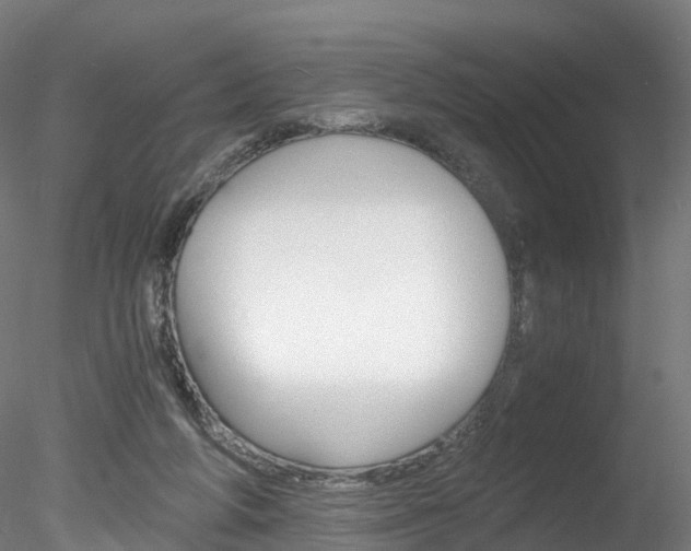 X0000078280210200611031025