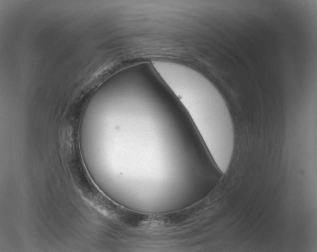 X0000078280211200611031025