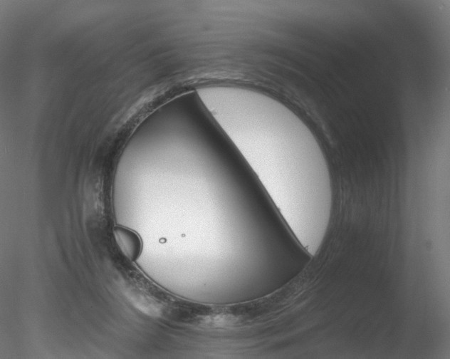 X0000078280212200611031025