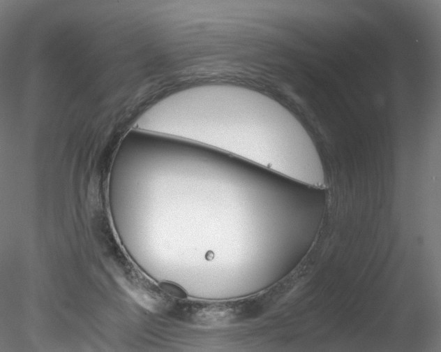 X0000078280213200611031025