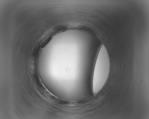 X0000078280215200611031025