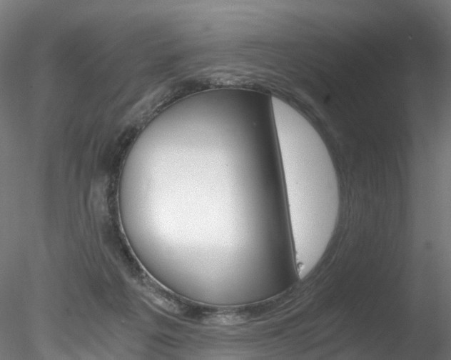 X0000078280217200611031025