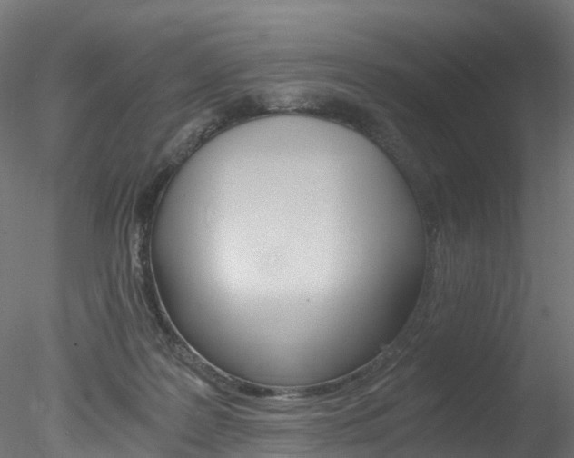 X0000078280219200611031025