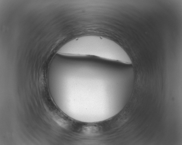 X0000078280220200611031025