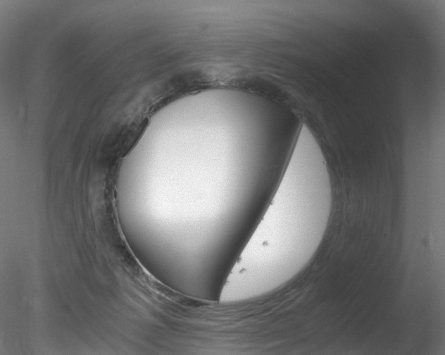 X0000078280221200611031025