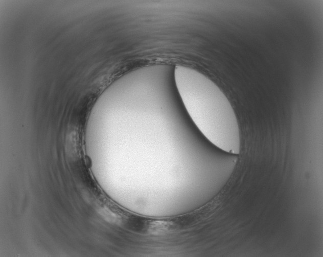 X0000078280222200611031025