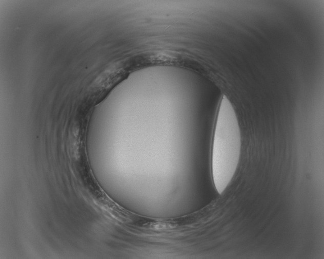 X0000078280223200611031025