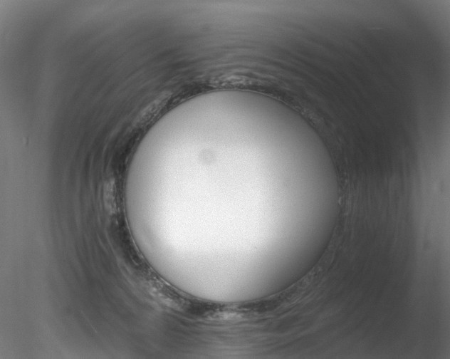 X0000078280224200611031025