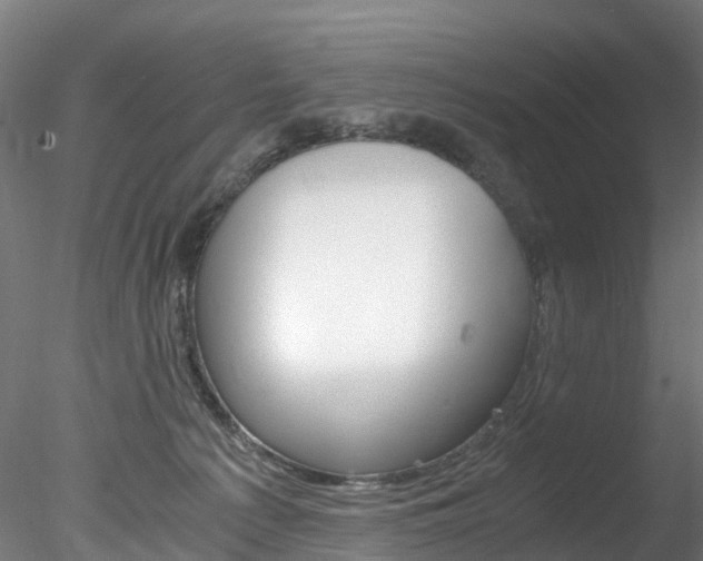 X0000078280225200611031025