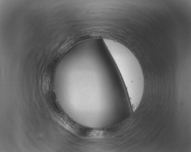 X0000078280227200611031025