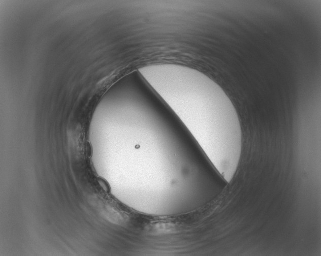 X0000078280228200611031025