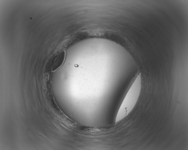 X0000078280229200611031025