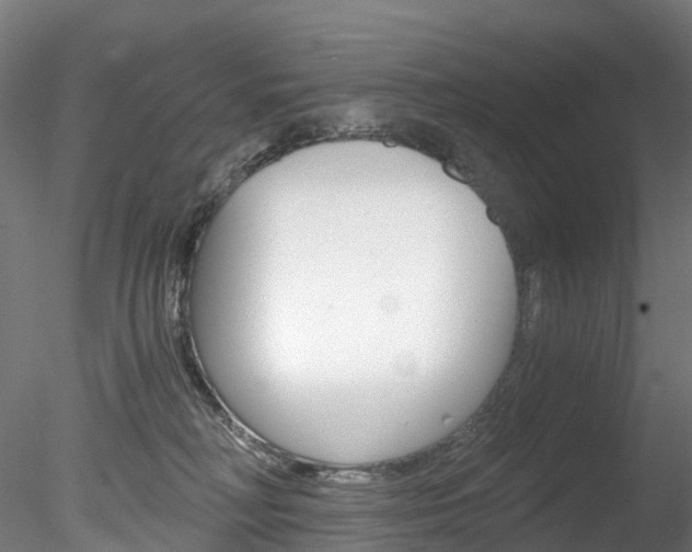 X0000078280230200611031025