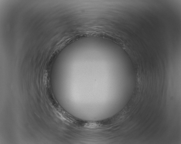 X0000078280231200611031025