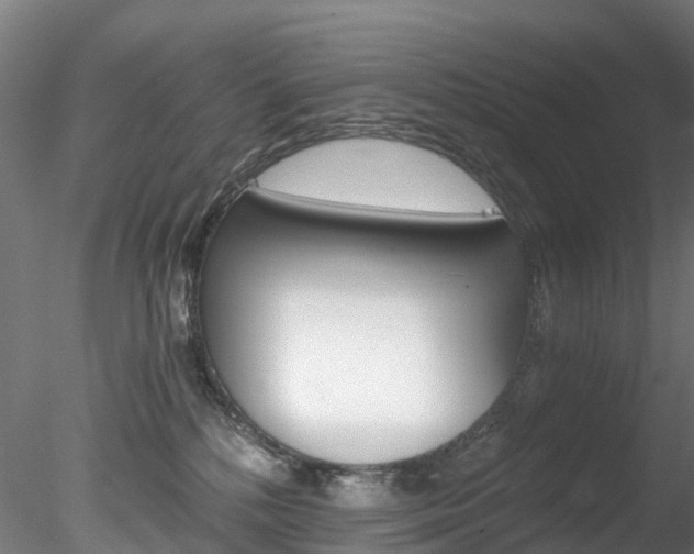 X0000078280232200611031025