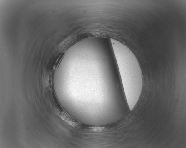 X0000078280233200611031024