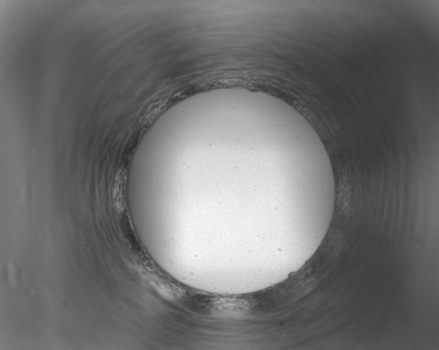 X0000078280234200611031024