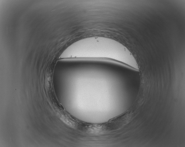 X0000078280235200611031024