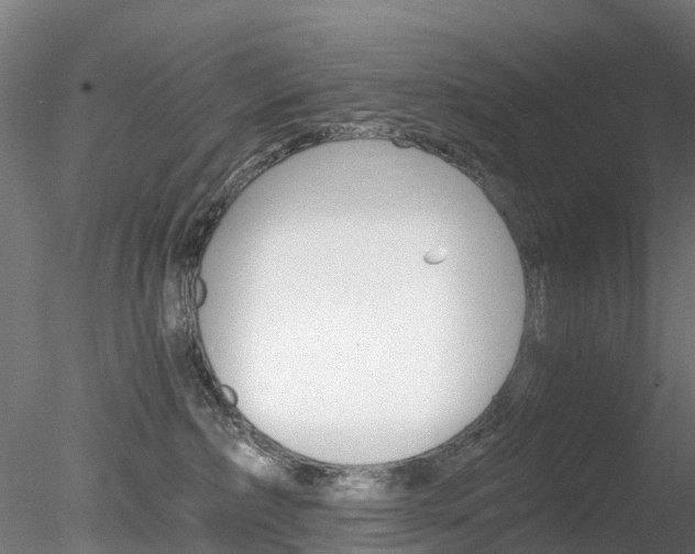 X0000078280236200611031024