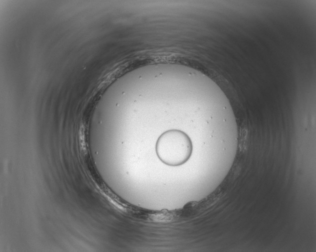 X0000078280238200611031024