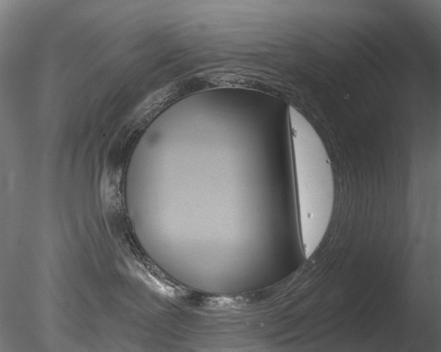 X0000078280239200611031024