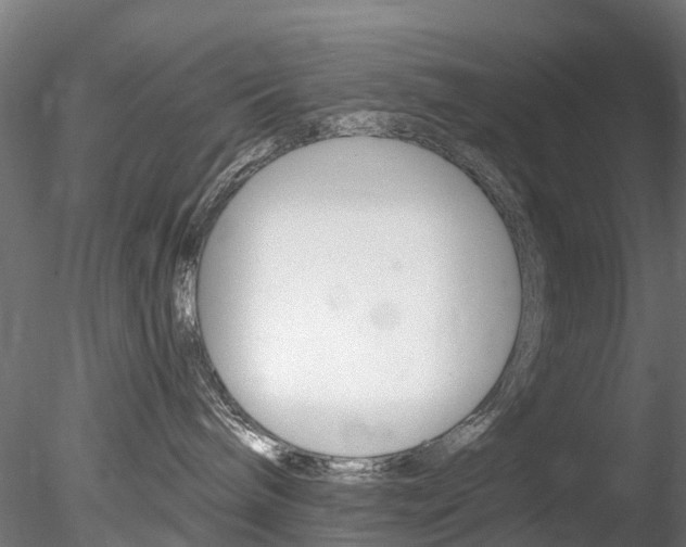 X0000078280240200611031024