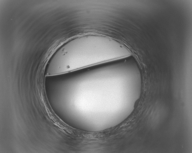 X0000078280241200611031024