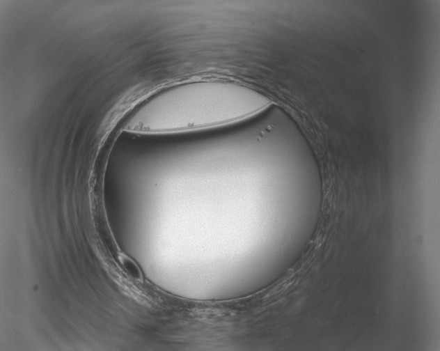 X0000078280242200611031024