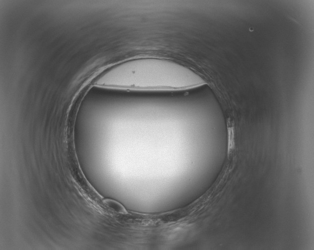 X0000078280243200611031024