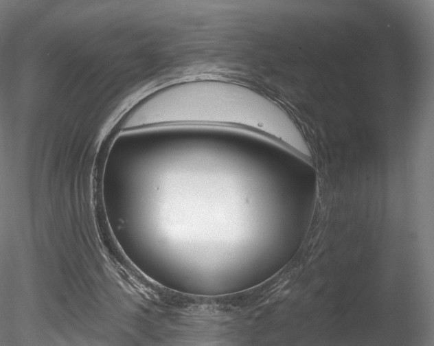 X0000078280244200611031024