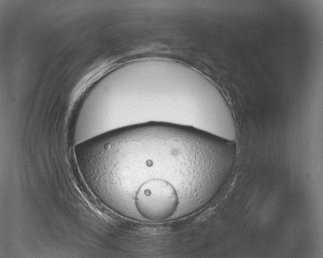 X0000078280245200611031024