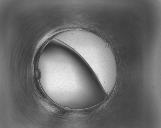 X0000078280246200611031024