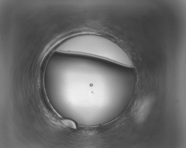 X0000078280247200611031024