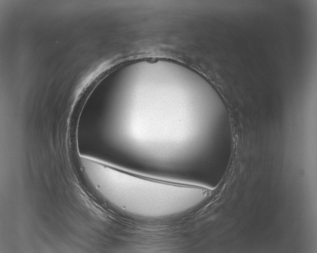 X0000078280248200611031024