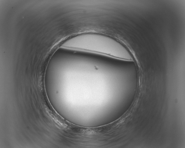 X0000078280249200611031024