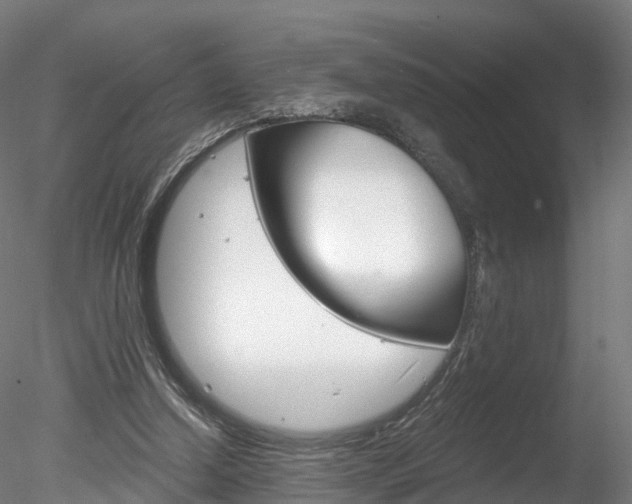 X0000078280250200611031024