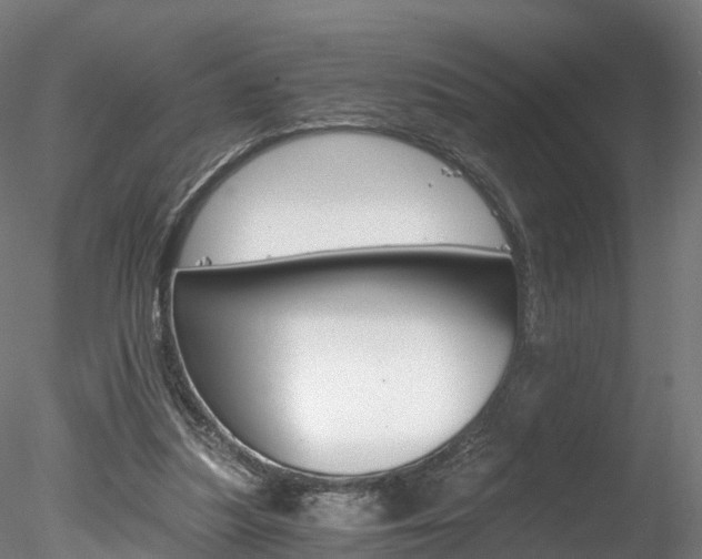 X0000078280251200611031024