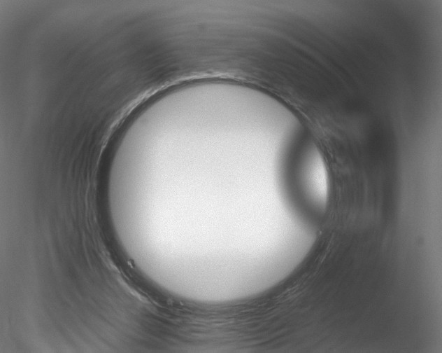 X0000078280252200611031024